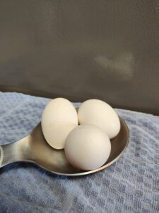 Silver Medal Spoon-Rest with 3 White whole eggs in it and the image reflected behind it on the refrigerator wall backdrop